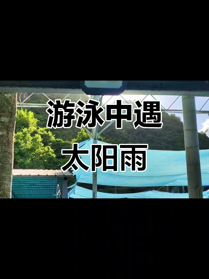 关于游泳比赛惊现逆转奇观选手颠覆传统取胜的信息 关于游泳比赛惊现逆转奇观选手颠覆传统取胜的信息
