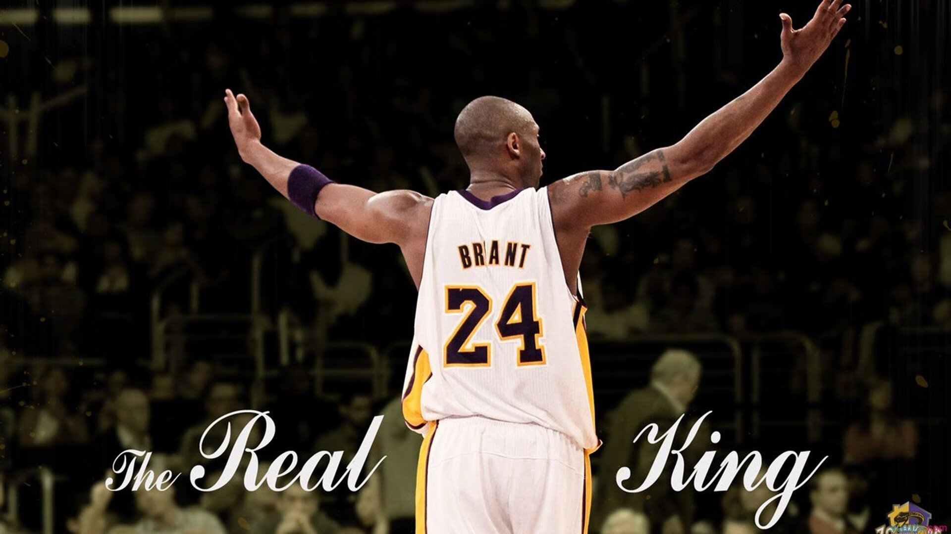 舞台越大越强，莫兰特撕裂防线，国王铁血防守锁死独行侠