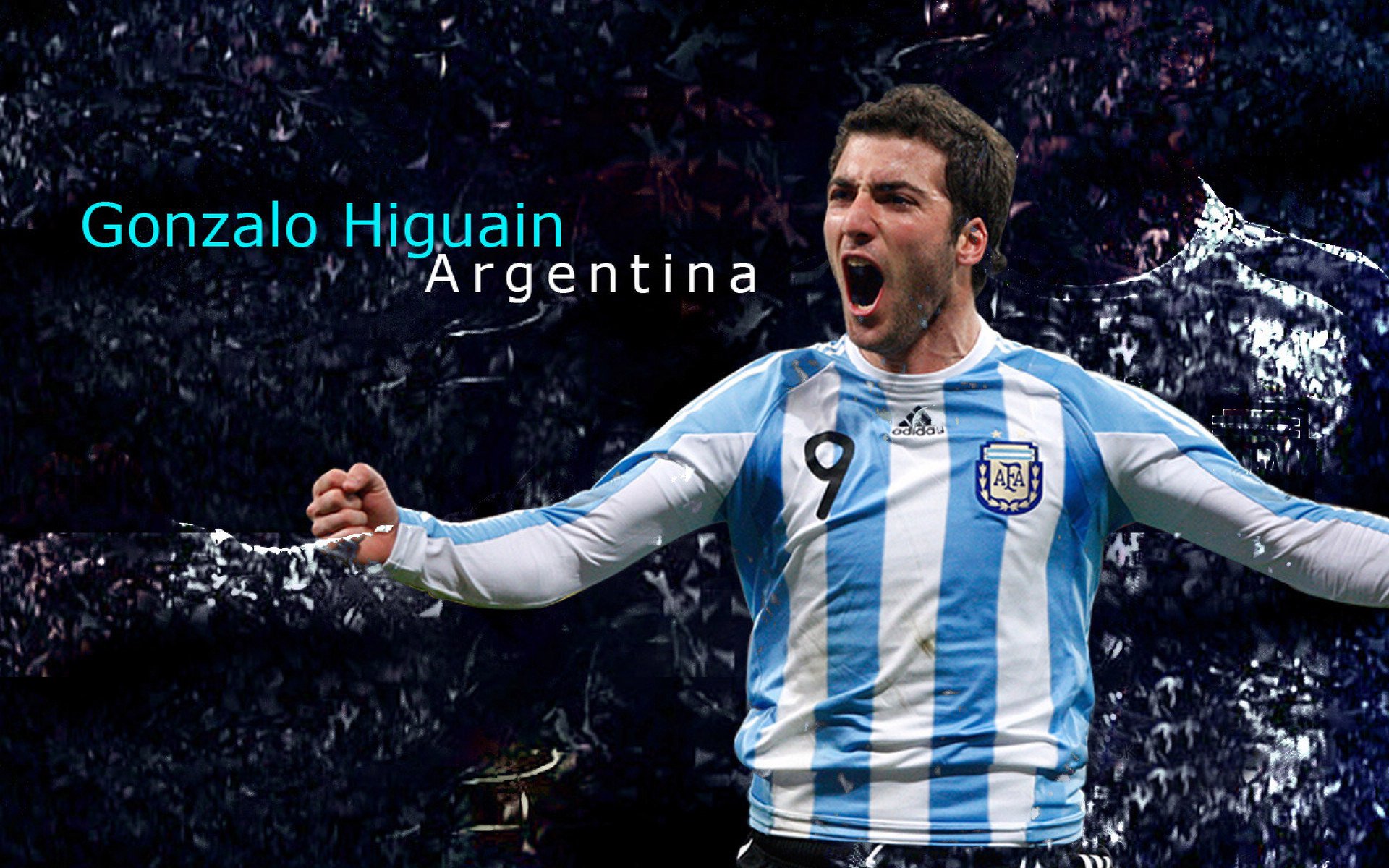 火箭对阵奇才,切特·霍姆格伦,那个让对手完全无解的名字